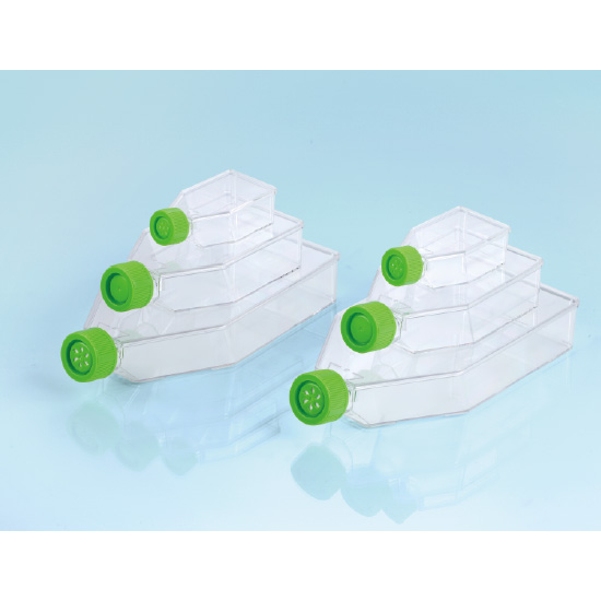 Cell culture Flask
