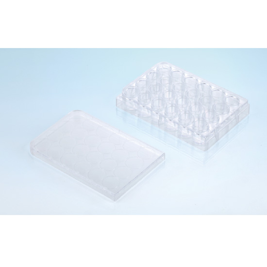 Cell culture Plate
